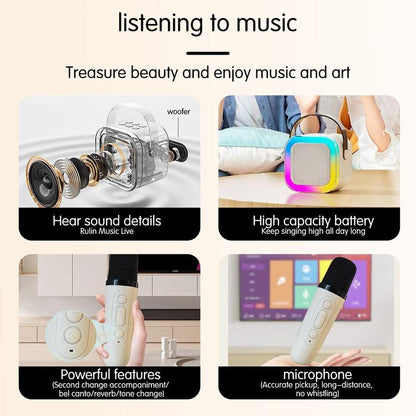 Karaoke Audio Wireless Speaker with Microphone
